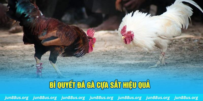 79king 6 nổ hũ may mắn