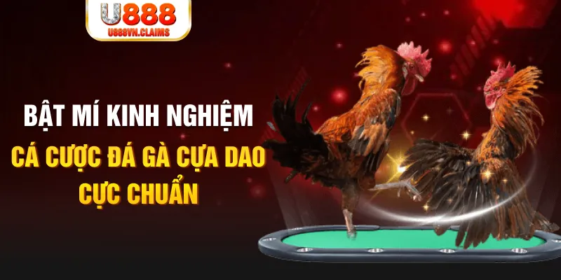 79king 6 casino hồ tràm có cho người việt vào không