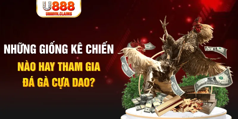 79king 6 BG Trực Tuyến