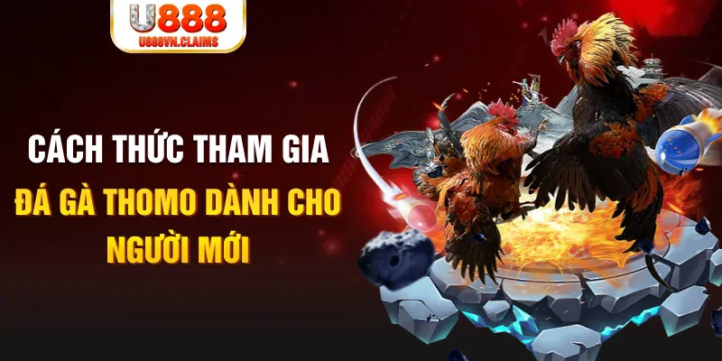 79king 6 truc tiep da ga
