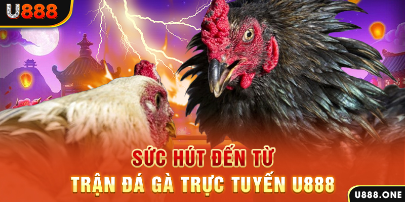 79king 6 đăng nhập poker 2024