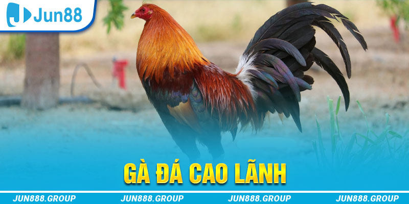 79king 6 tai game vua bai ve may tinh