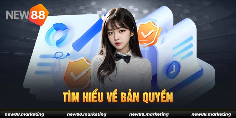 79king 6 what is live dealer casino