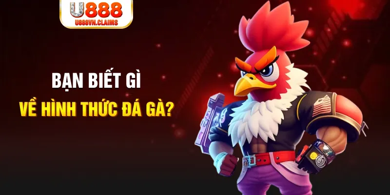 79king 6 đăng nhập liêng tặng tiền