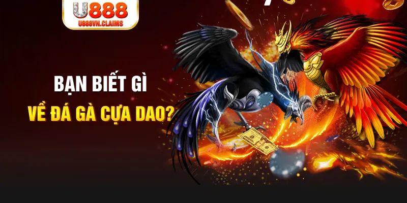 79king 6 xo so mien bac