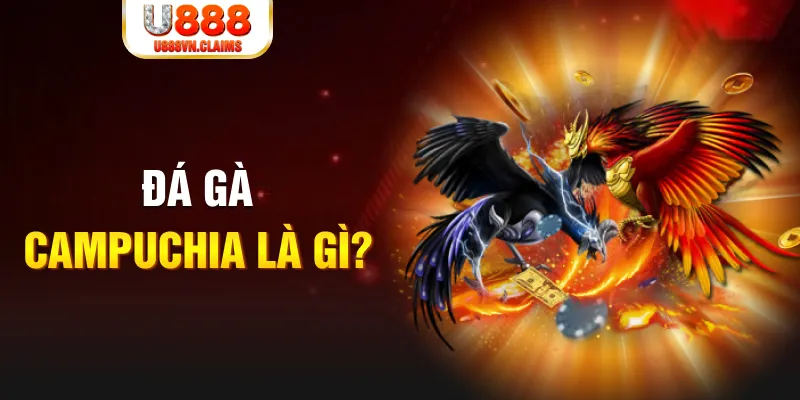 79king 6 what is the best online casino for real money