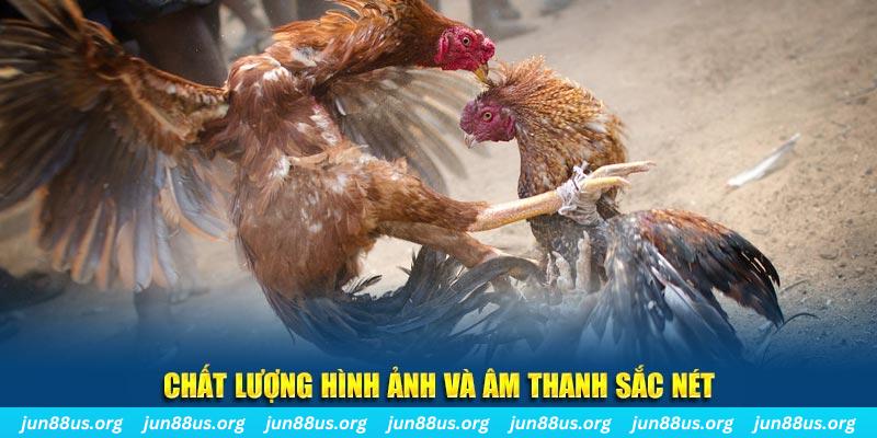 79king 6 tai game danh bai mien phi ve may tinh