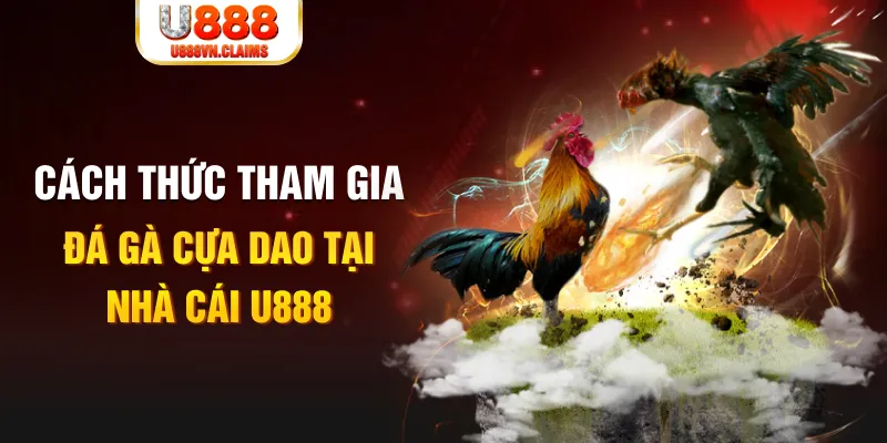 79king 6 đá gà 88.com