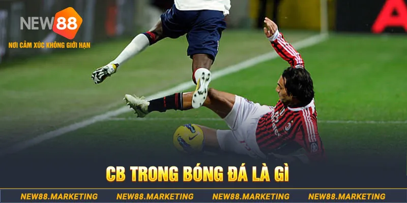 79king 6 DG Trực Tuyến