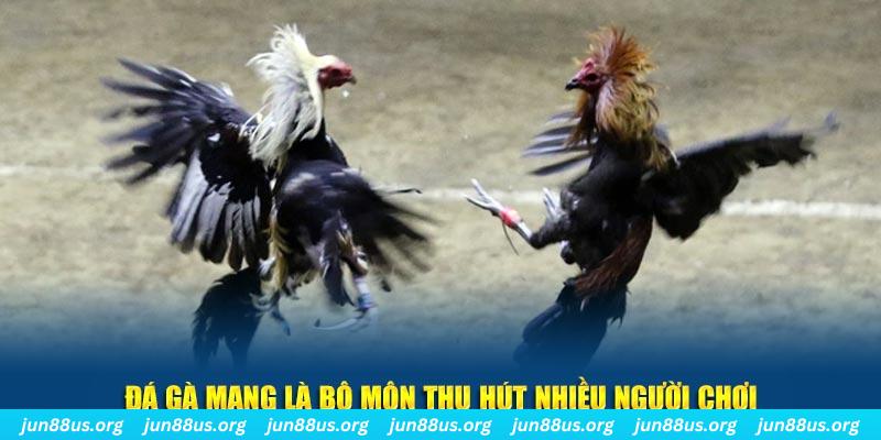 79king 6 đăng nhập sòng bạc số 1