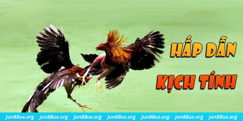 79king 6 xổ số miền nam thứ sáu