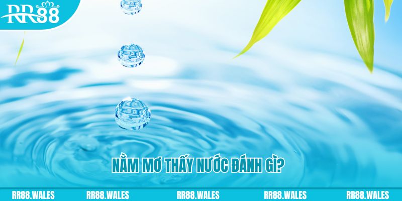79king 6 xổ số trực tiếp miền bắc