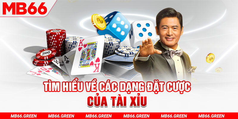 79king 6 what is a casino loyalty program