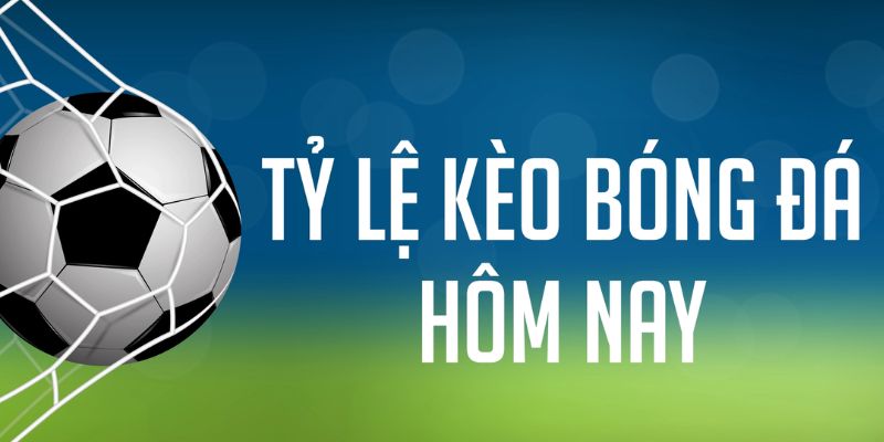 79king 6 đăng nhập phỏm