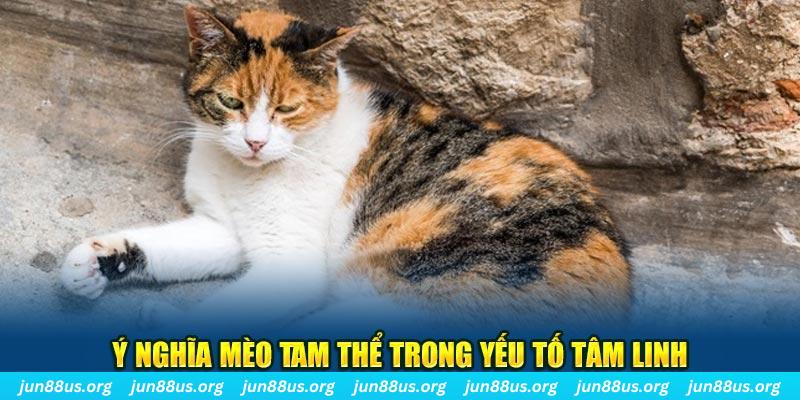 79king 6 máy slot game là loại trò chơi gì？