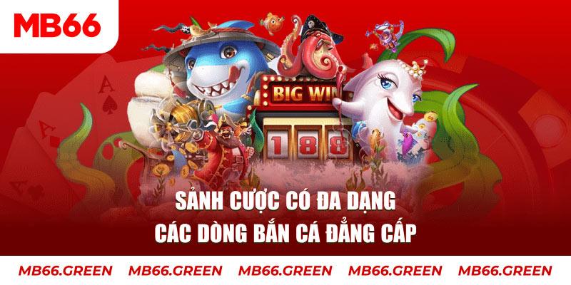 79king 6 xổ số đại phát