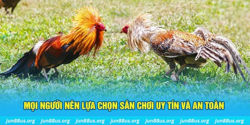 79king 6 đăng nhập poker 2025