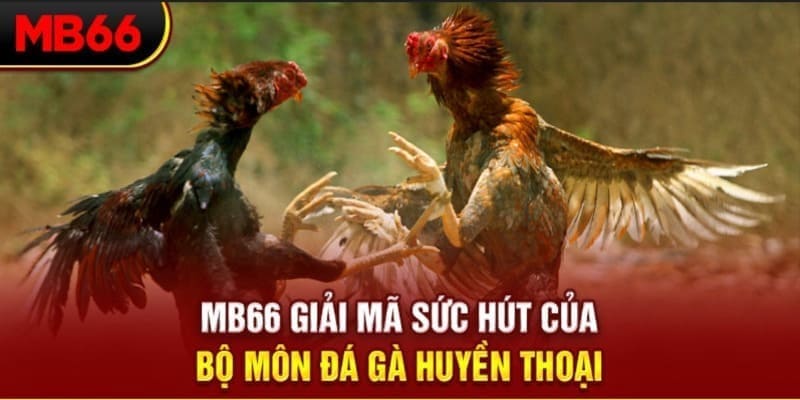 79king 6 xổ số đài bắc