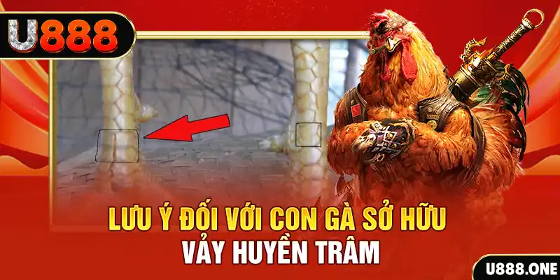79king 6 tải game đánh bài tiến lên miền nam về máy tính