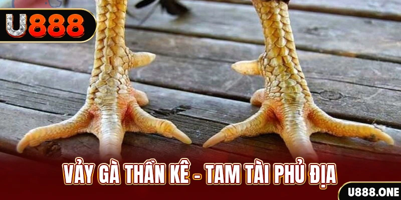 79king 6 so xo mien trung