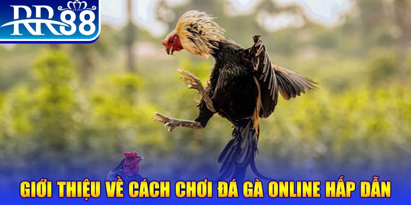79king 6 bắn cá h5 là gì