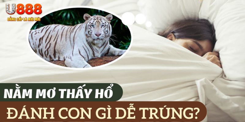 79king 6 nohu .mx nổ hủ là gì