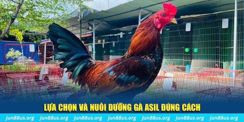 79king 6 nổ hũ thần tài là gì