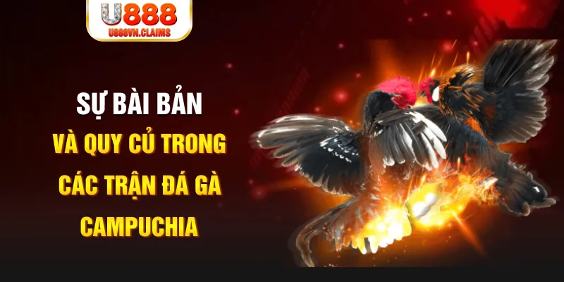 79king 6 game xếp bài trên máy tính