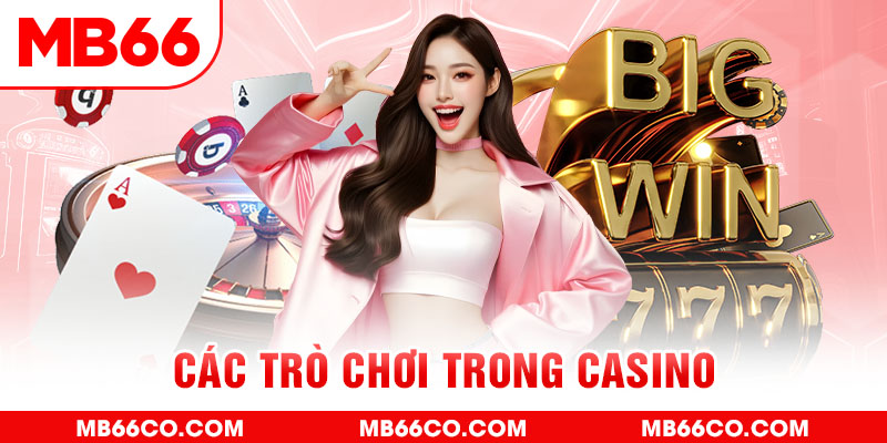 79king 6 chổi lông gà