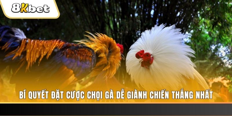 79king 6 nổ hũ chơi như thế nào