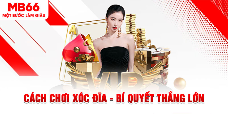 79king 6 Đĩa màu ace