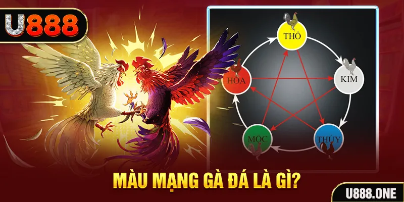 79king 6 V8 Game Bài 3d
