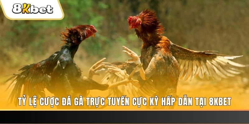 79king 6 xổ số miền bắc chủ nhật
