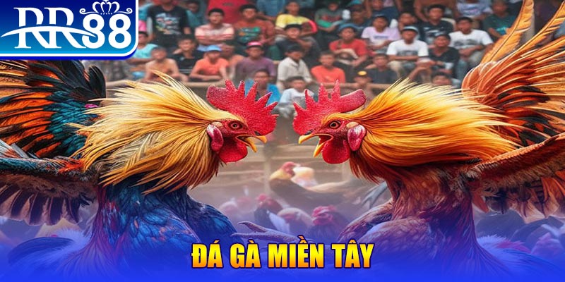 79king 6 đăng nhập liêng đổi thưởng