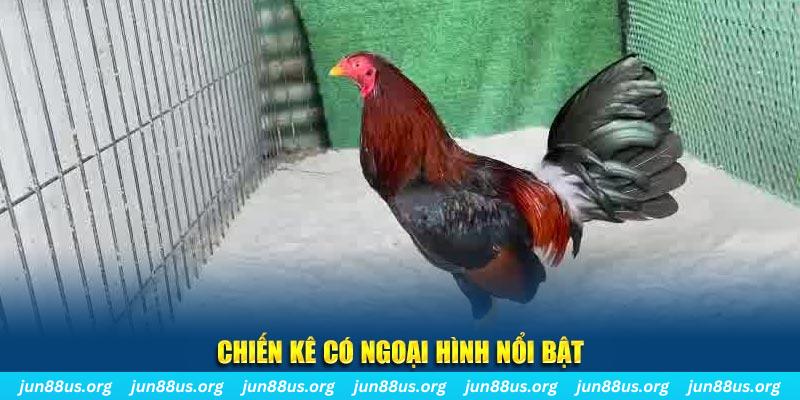 79king 6 qq88 bắn cá