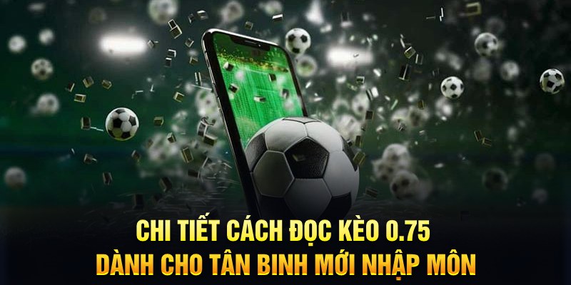 79king 6 Xì tố