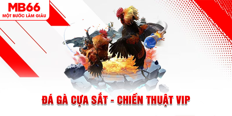 79king 6 slot out là gì