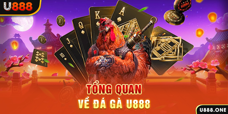 79king 6 xổ số vietlott
