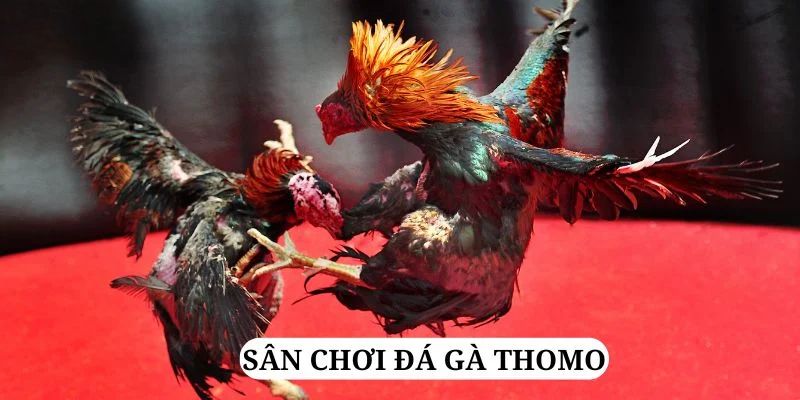 79king 6 quay nổ hũ là gì