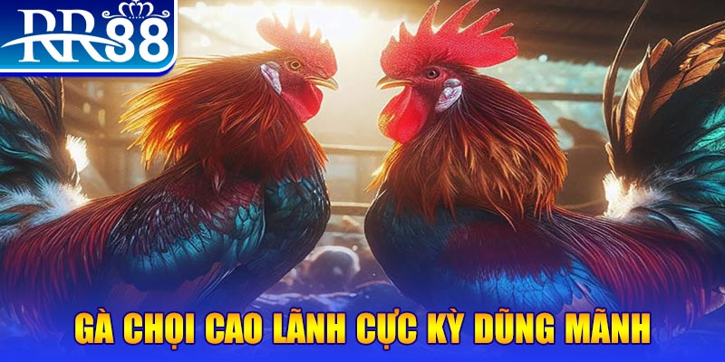 79king 6 đăng nhập poker live